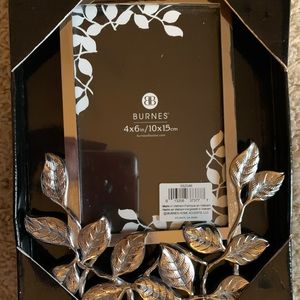 Burnes Silver 4X6 frame new